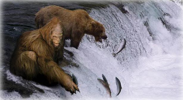 Bear-and-Sasquatch